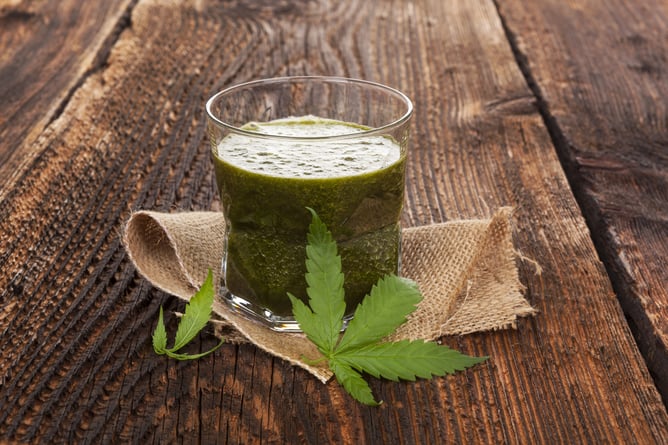 CBD Cocktails to enhance your beverage program