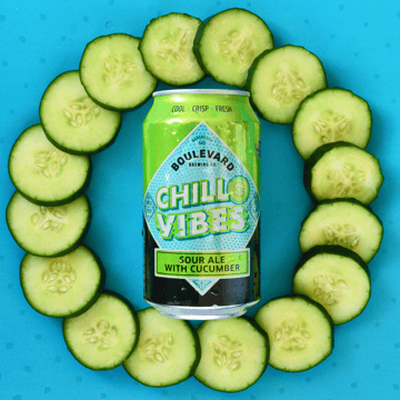 Chill-Vibes-e1564414550575