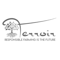 Terroir Selections-1