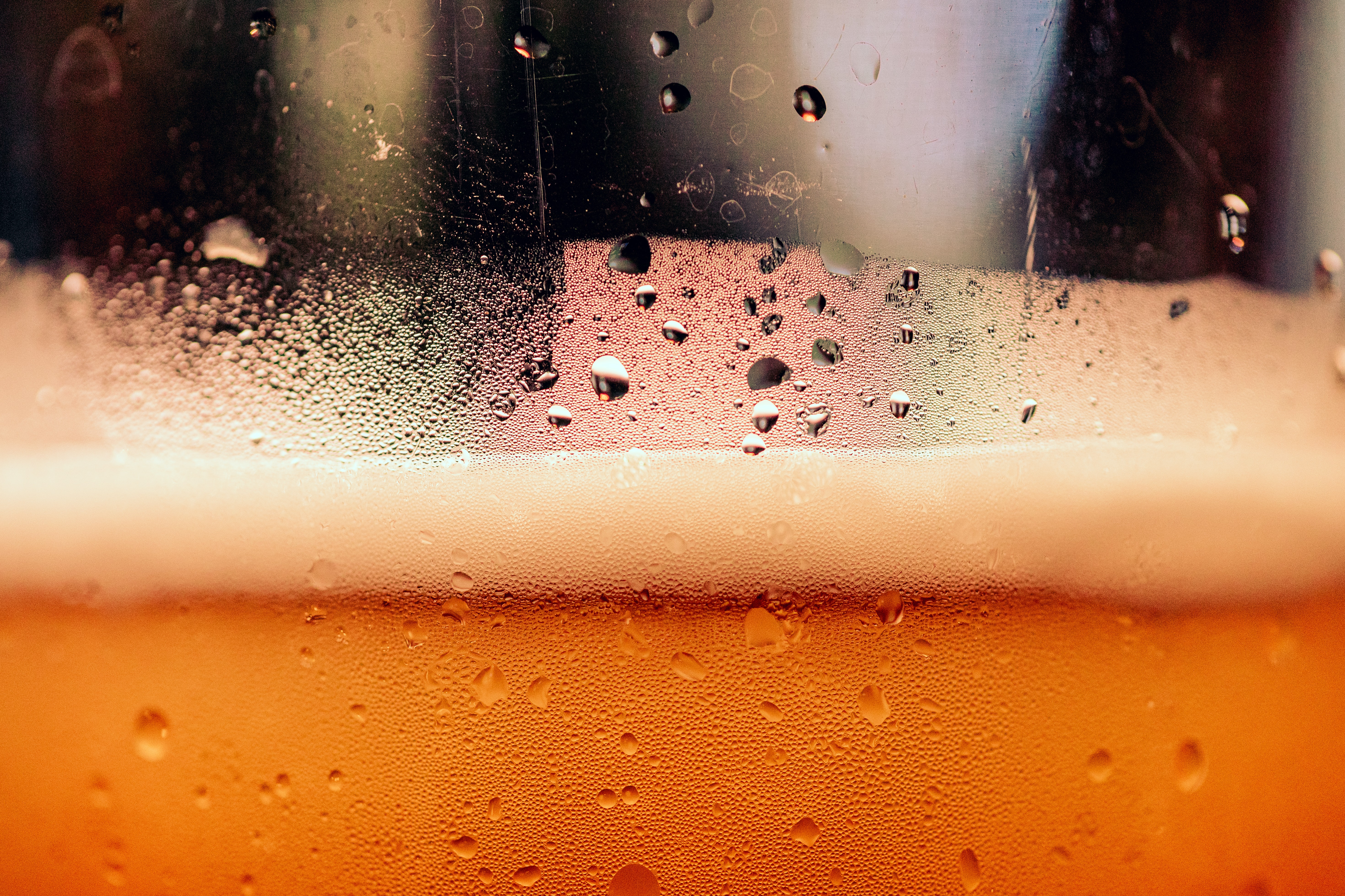lager beer
