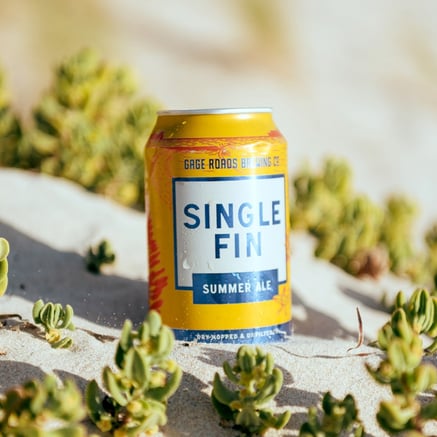 single fin 